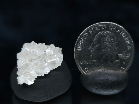 #33526 Super clear Nailhead Spar Calcite tiny cluster and multiple small fossils in the matrix