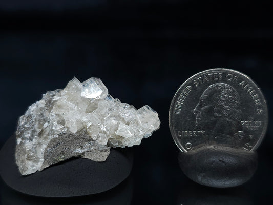 #33592 Super clear Nailhead Spar Calcite tiny cluster and Chalcopyrite ore and multiple small fossils in the matrix