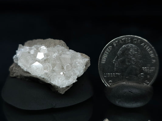 #33602 Super clear Nailhead Spar Calcite tiny cluster and multiple small fossils in the matrix