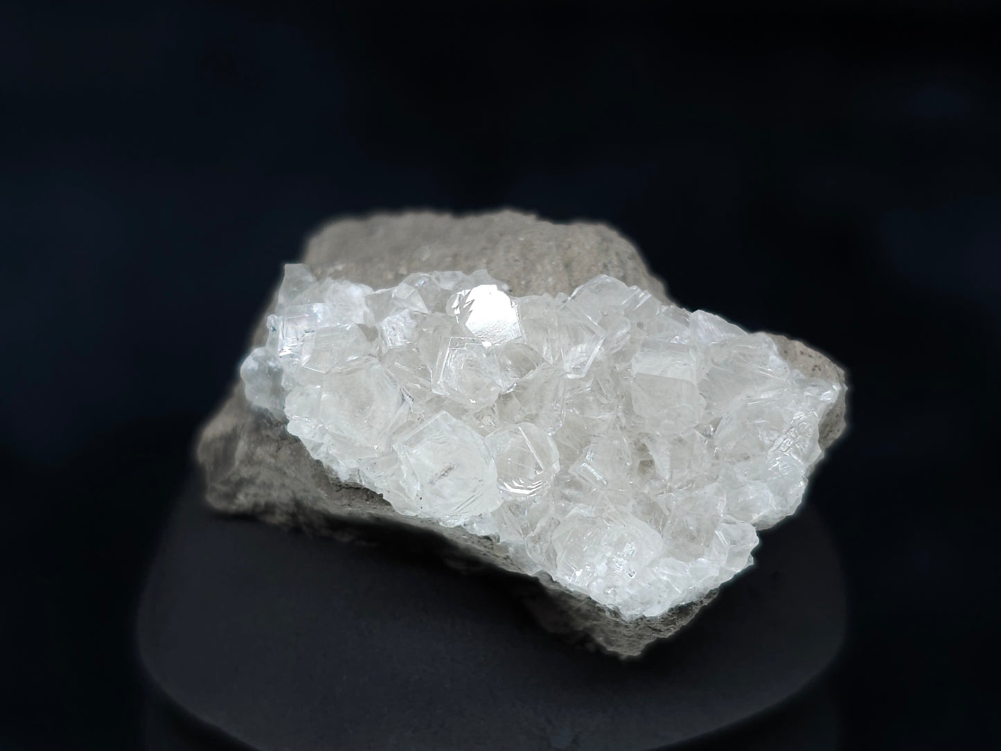 #33602 Super clear Nailhead Spar Calcite tiny cluster and multiple small fossils in the matrix