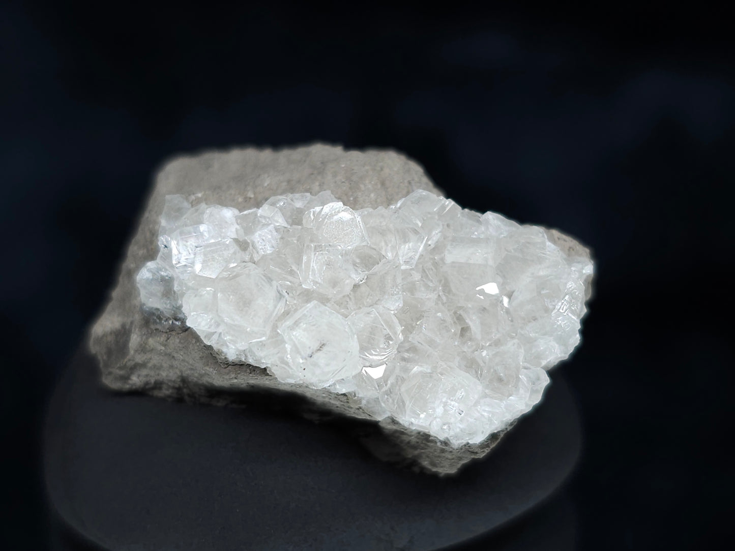 #33602 Super clear Nailhead Spar Calcite tiny cluster and multiple small fossils in the matrix