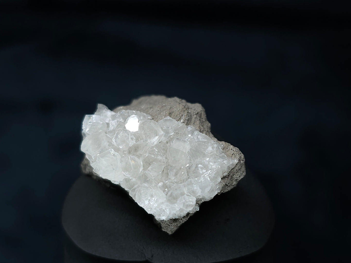 #33602 Super clear Nailhead Spar Calcite tiny cluster and multiple small fossils in the matrix
