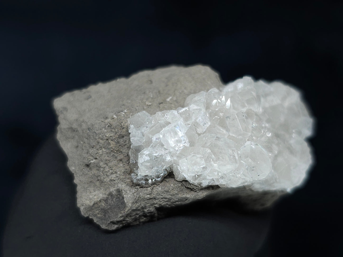#33602 Super clear Nailhead Spar Calcite tiny cluster and multiple small fossils in the matrix