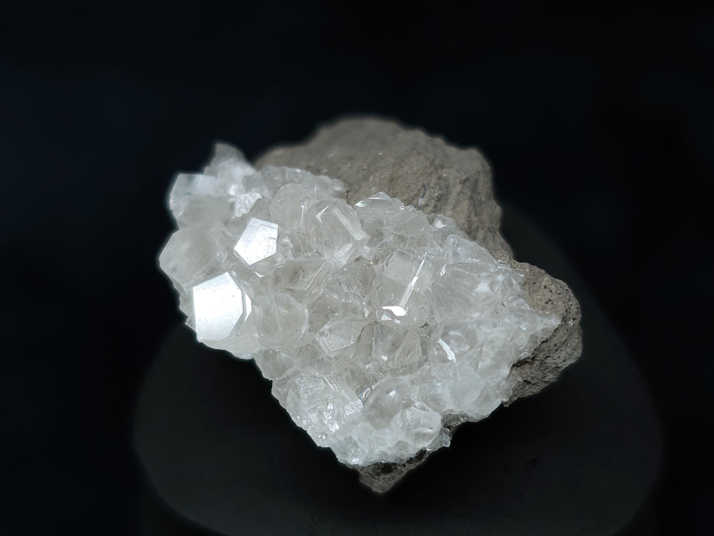 #33602 Super clear Nailhead Spar Calcite tiny cluster and multiple small fossils in the matrix