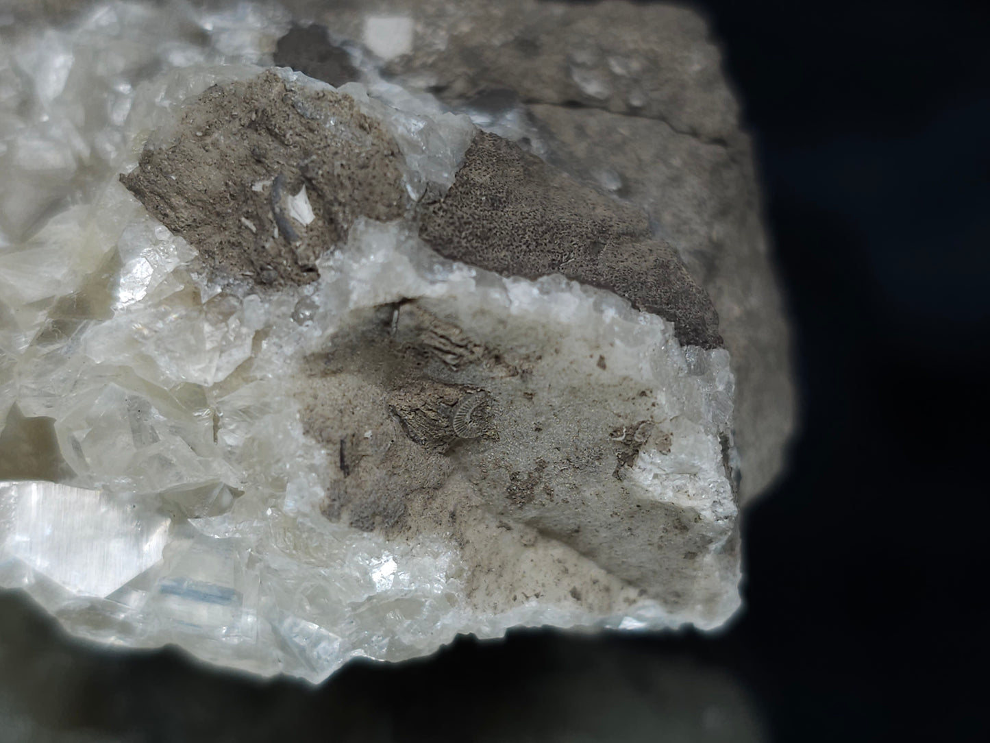 #33655 Super clear Nailhead Spar Calcite cluster and Chalcopyrite ore and multiple small fossils in the matrix