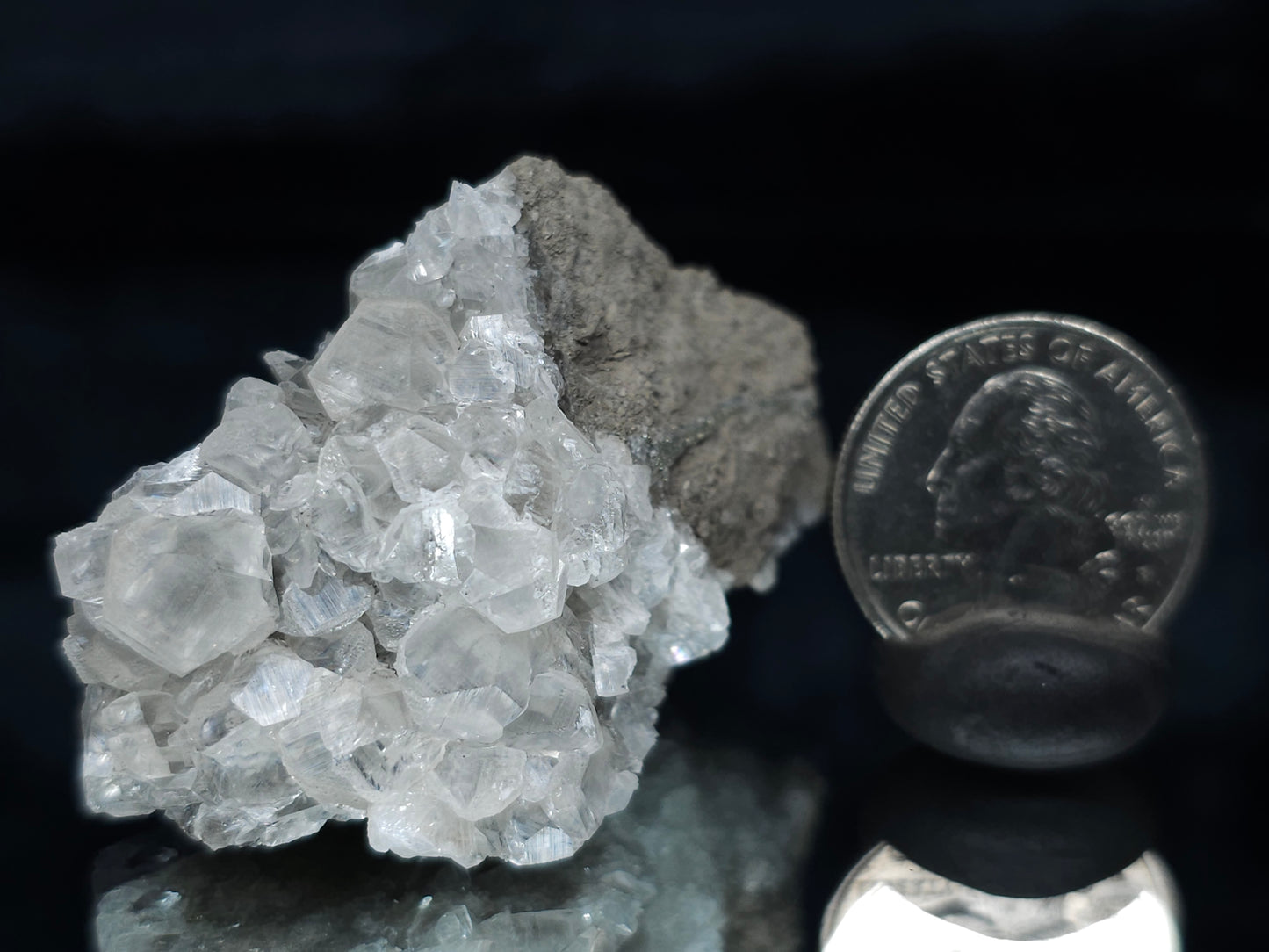 #33663 Super clear Nailhead Spar Calcite cluster and Chalcopyrite ore and multiple small fossils in the matrix
