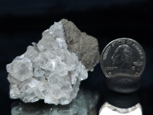 #33663 Super clear Nailhead Spar Calcite cluster and Chalcopyrite ore and multiple small fossils in the matrix
