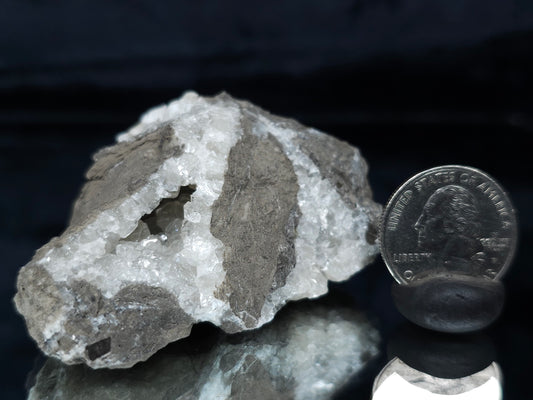 #33683 Super clear Nailhead Spar Calcite geode and awesome fossils in the matrix
