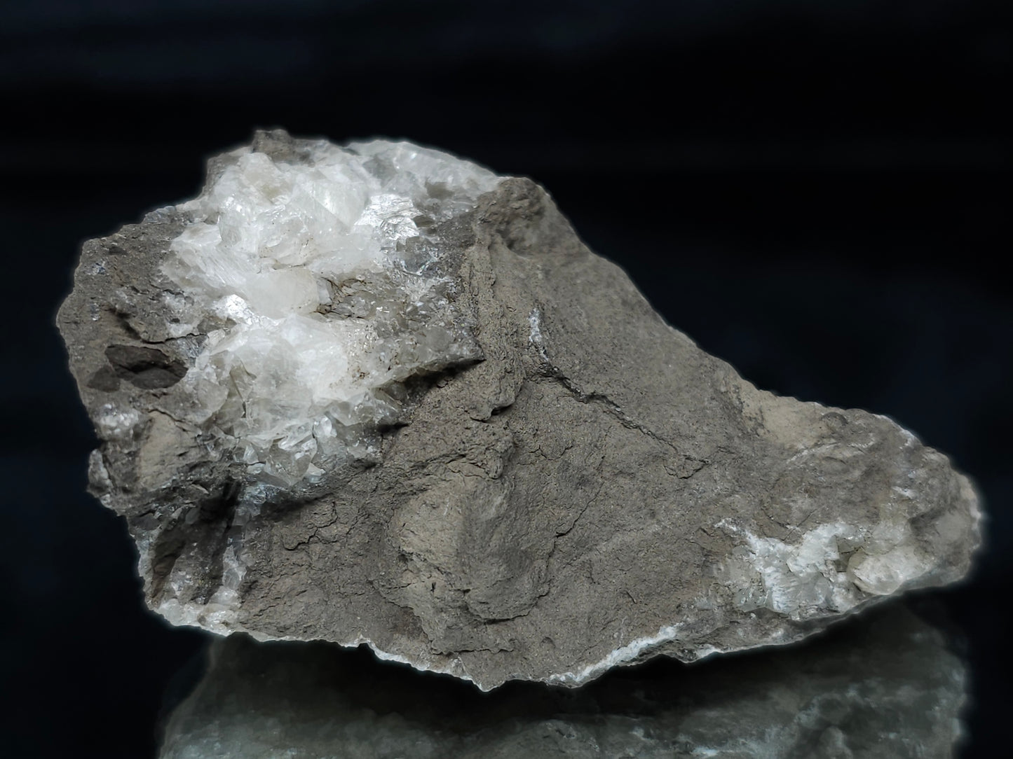 #33683 Super clear Nailhead Spar Calcite geode and awesome fossils in the matrix