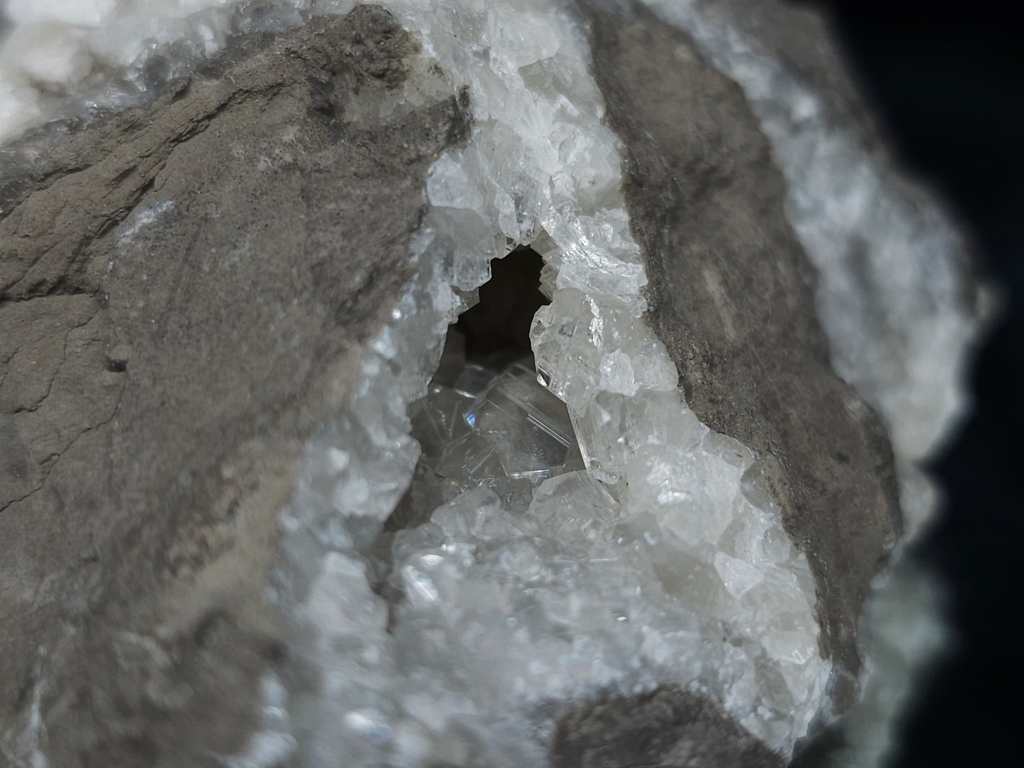 #33683 Super clear Nailhead Spar Calcite geode and awesome fossils in the matrix
