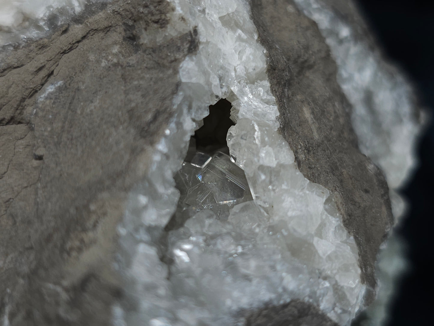 #33683 Super clear Nailhead Spar Calcite geode and awesome fossils in the matrix