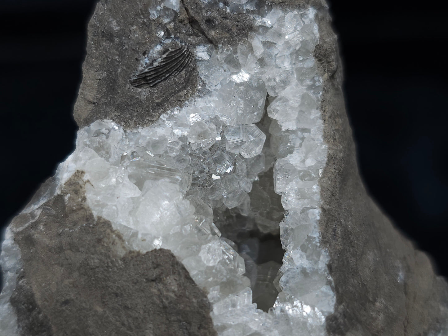 #33683 Super clear Nailhead Spar Calcite geode and awesome fossils in the matrix