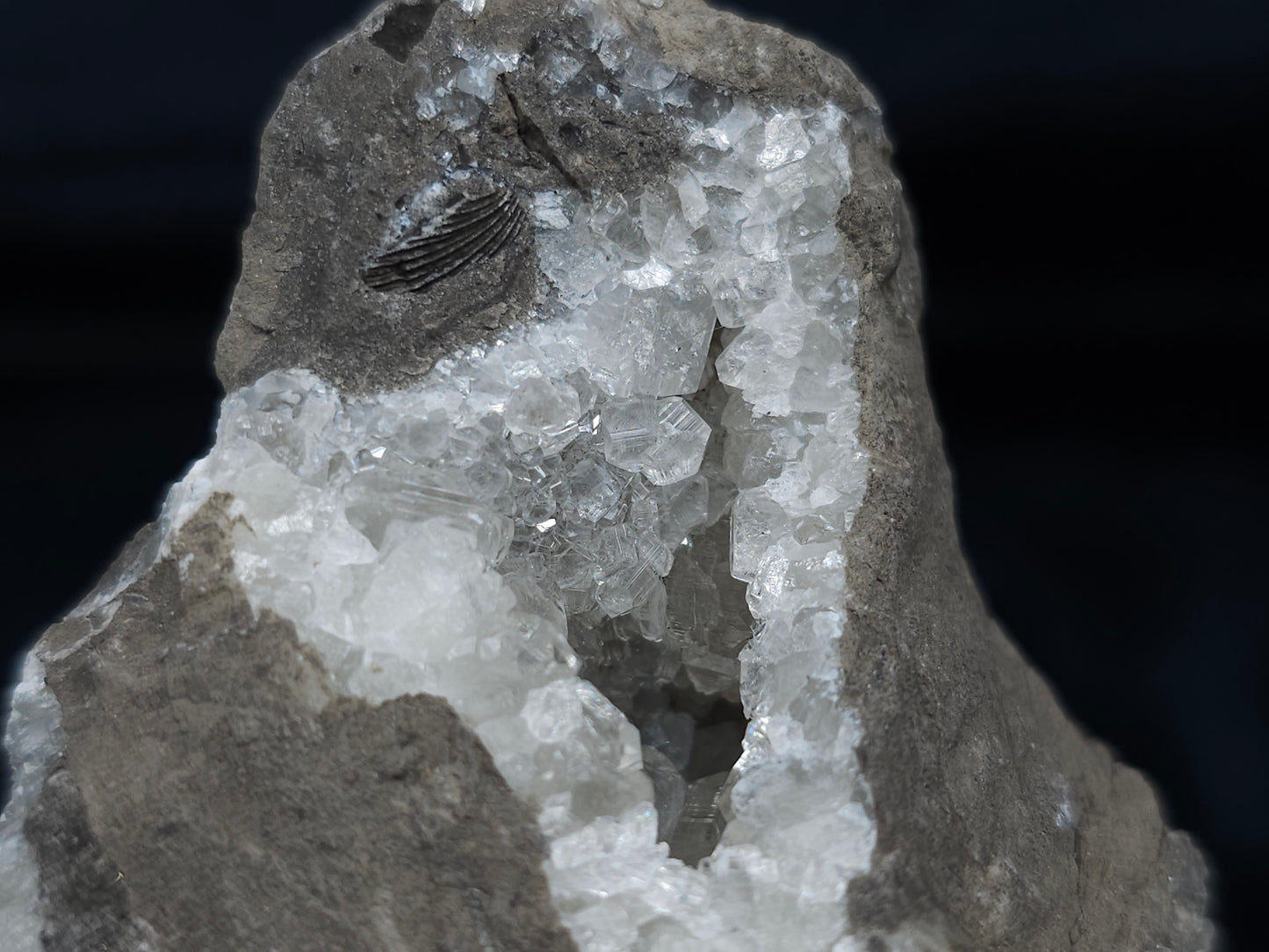 #33683 Super clear Nailhead Spar Calcite geode and awesome fossils in the matrix