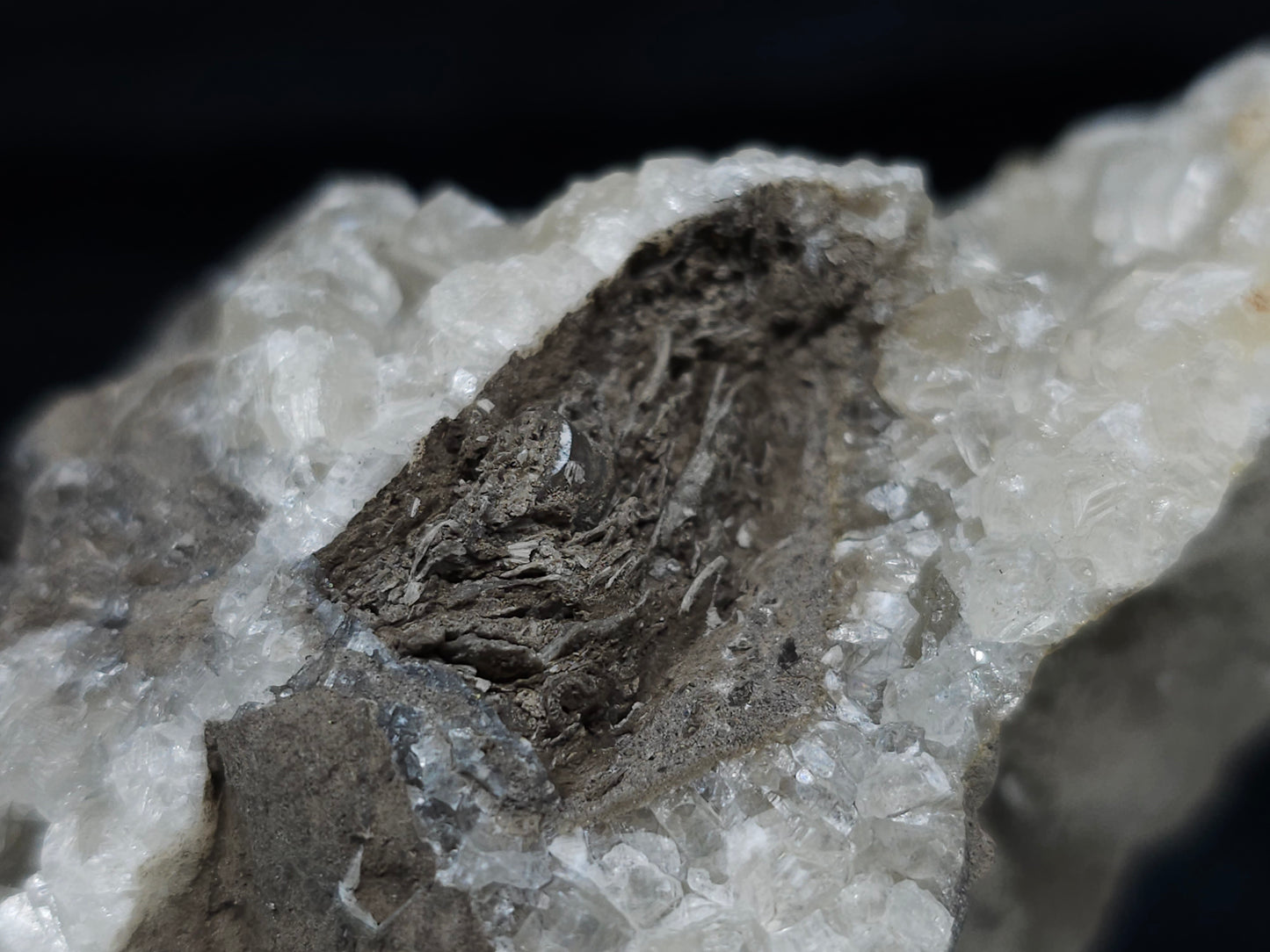 #33691 Super clear Nailhead Spar Calcite geode and Chalcopyrite ore and multiple small fossils in the matrix