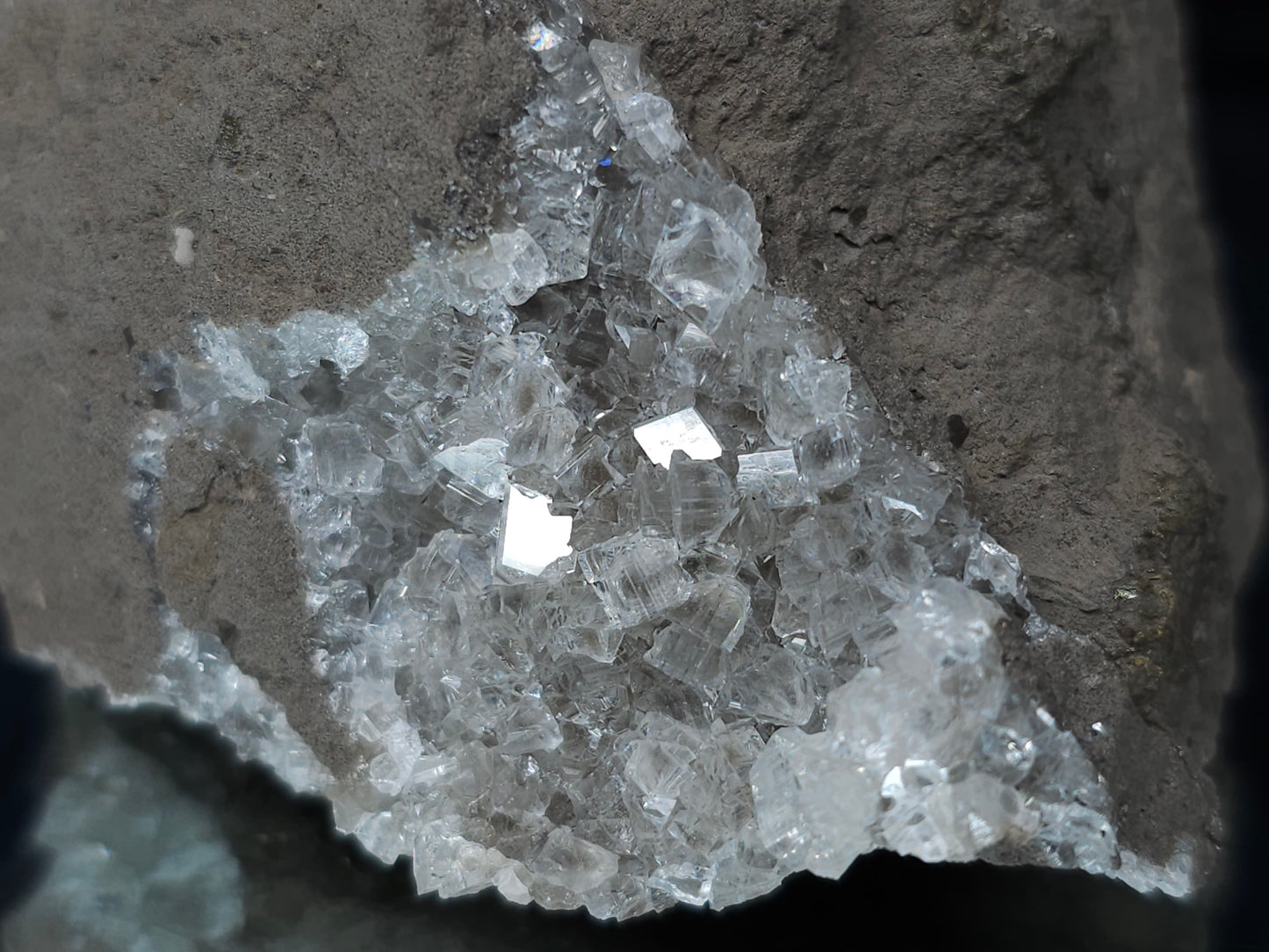#33687 Super clear Nailhead Spar Calcite cluster and Chalcopyrite ore and multiple small fossils in the matrix