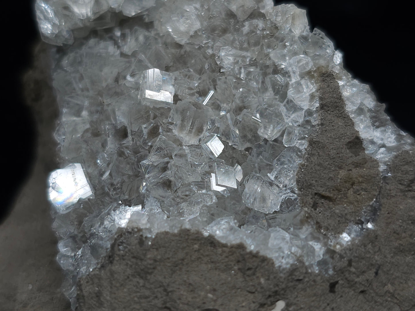 #33687 Super clear Nailhead Spar Calcite cluster and Chalcopyrite ore and multiple small fossils in the matrix