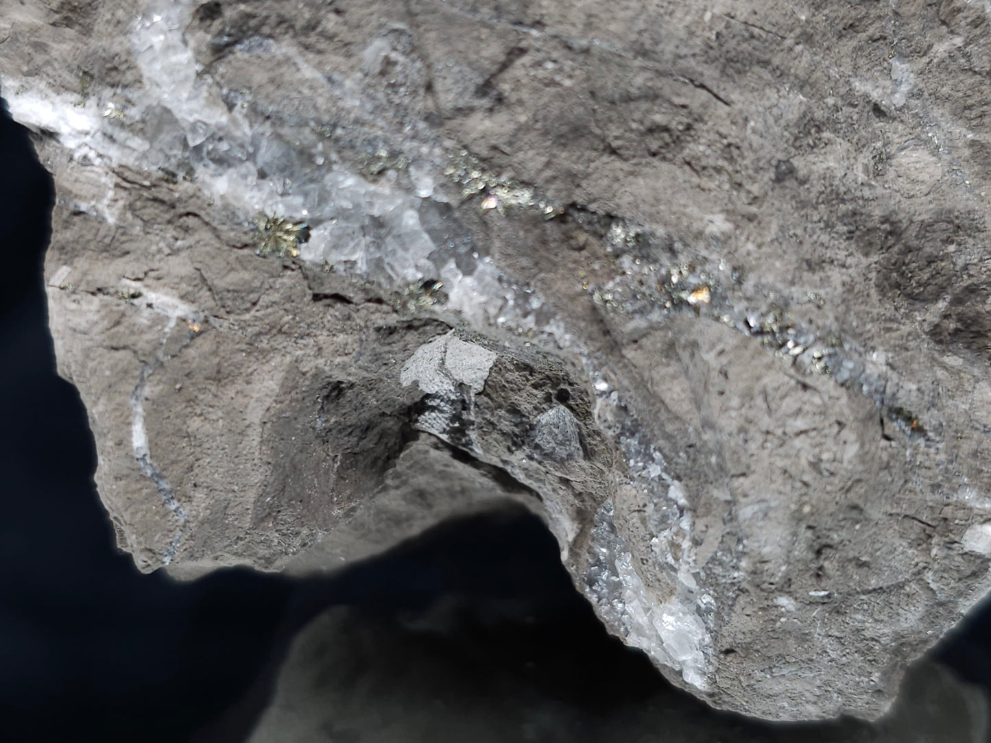 #36629 Super clear Nailhead Spar Calcite and Chalcopyrite ore and multiple small fossils in the matrix