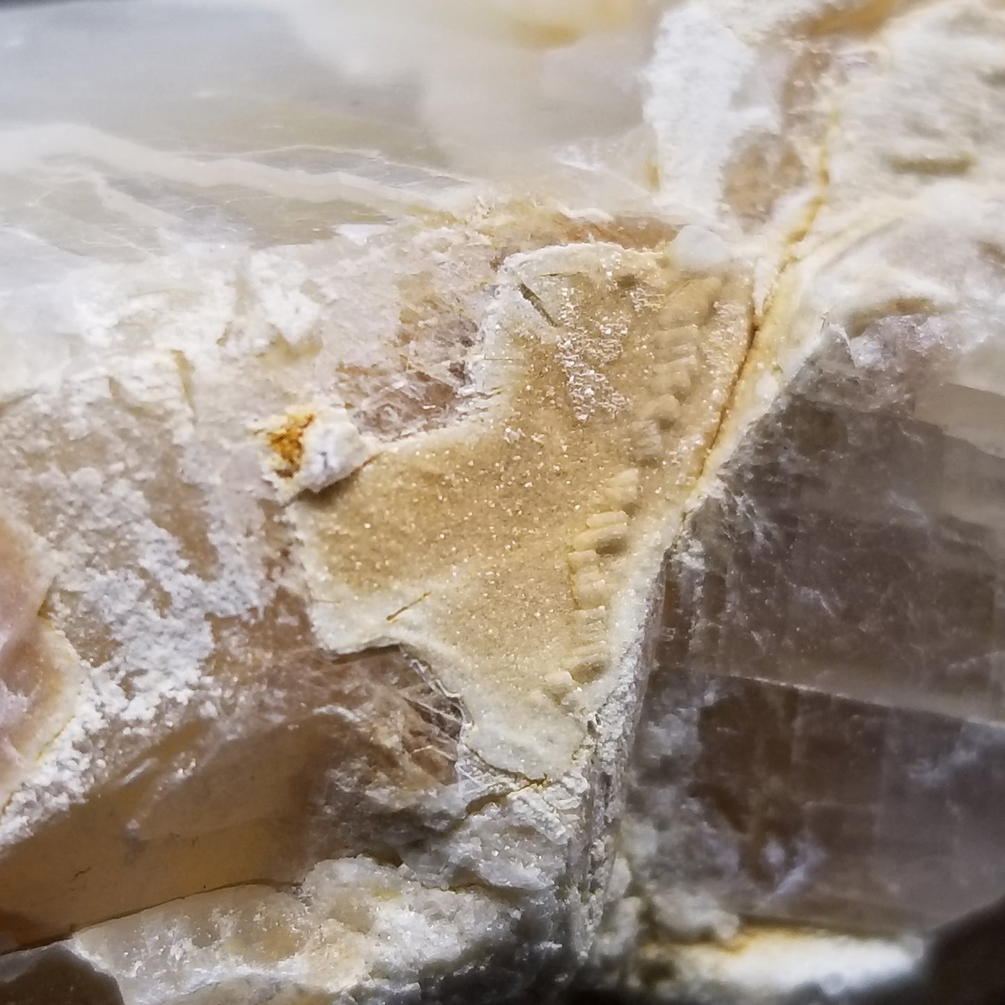 #11408 Dolomite on honey Calcite block